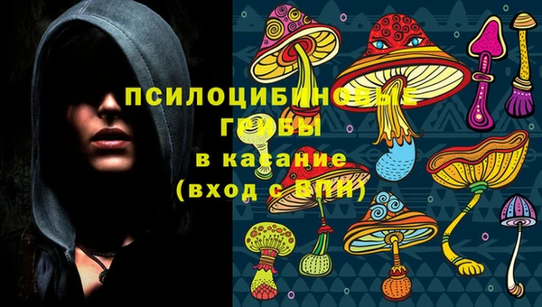 хмурый Алексеевка