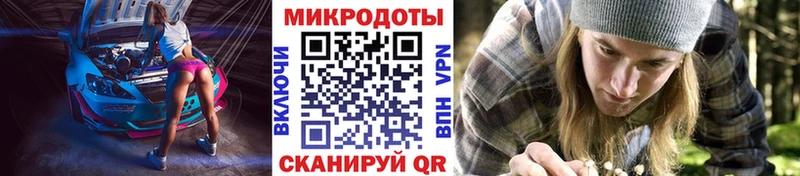где продают наркотики  Кохма  Галлюциногенные грибы Cubensis 