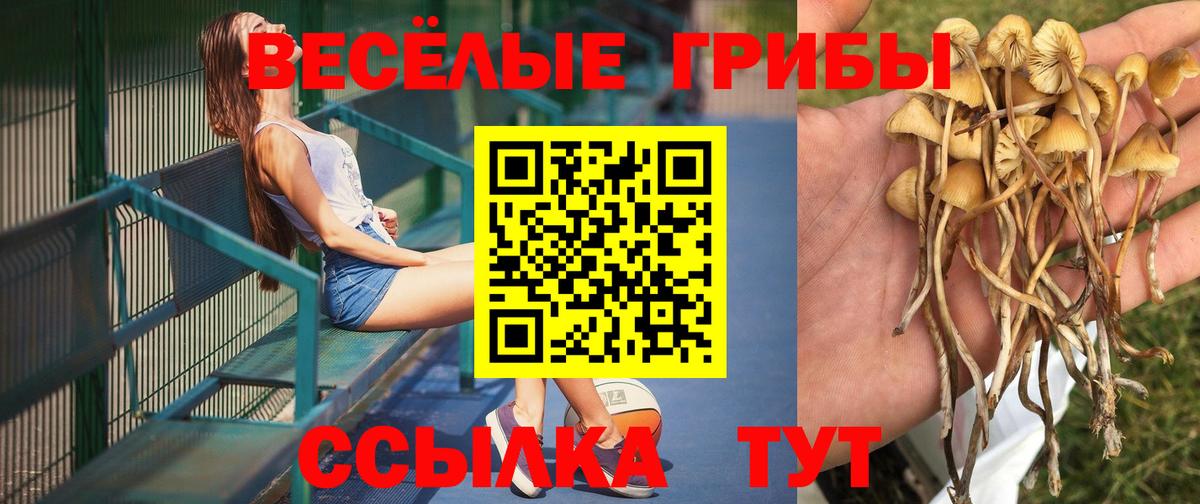Псилоцибиновые грибы Magic Shrooms Кохма