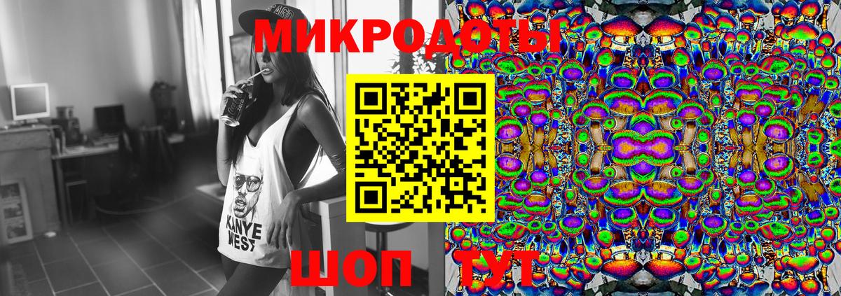 Кохма  Галлюциногенные грибы Psilocybine cubensis  Вход с VPN 
