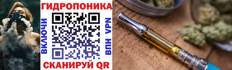 Каннабис семена  купить закладку  Кохма 